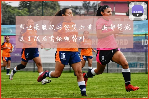 韦世豪腹股沟伤势加重，成都蓉城攻击线或需依赖替补